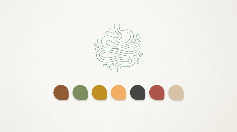 Couleur des selles : ce que chaque teinte révèle (et quand consulter)