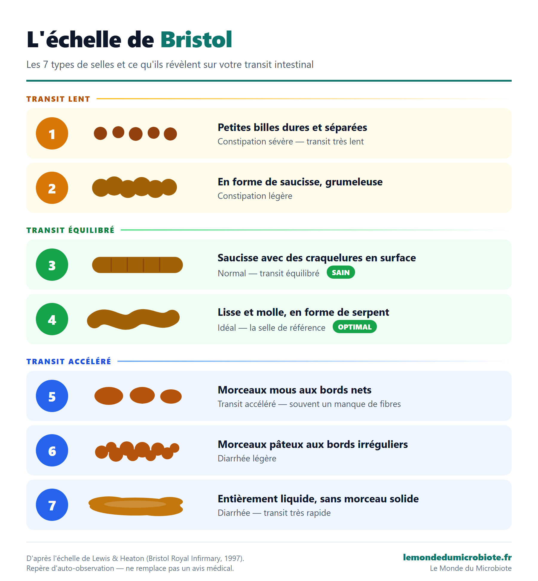 Schema de l'echelle de Bristol : les 7 types de selles, du type 1 (billes dures, constipation severe) au type 7 (liquide, diarrhee), regroupes en transit lent, equilibre et accelere