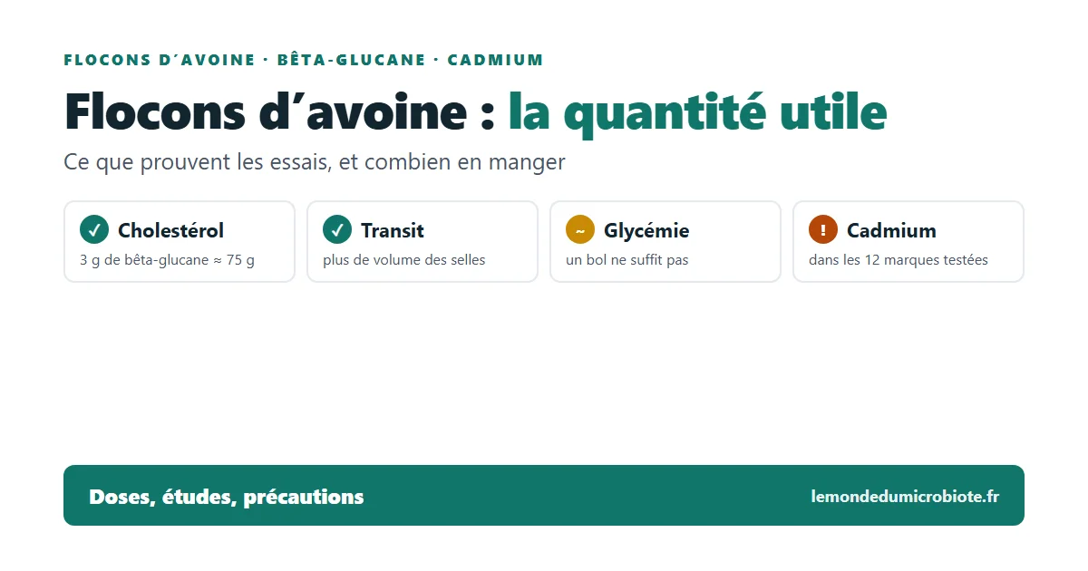 Flocons d&rsquo;avoine : bienfaits prouvés, quantité utile et cadmium (2026)